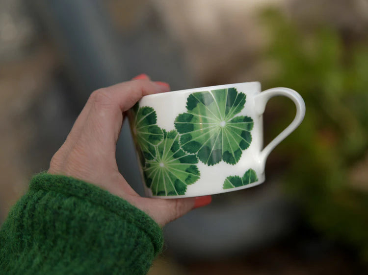 Lady's mantle green cup 24 cl
