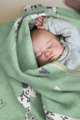 Baby blanket, brushed 70x75 cm / 27 x 29 in DALMATINER Green