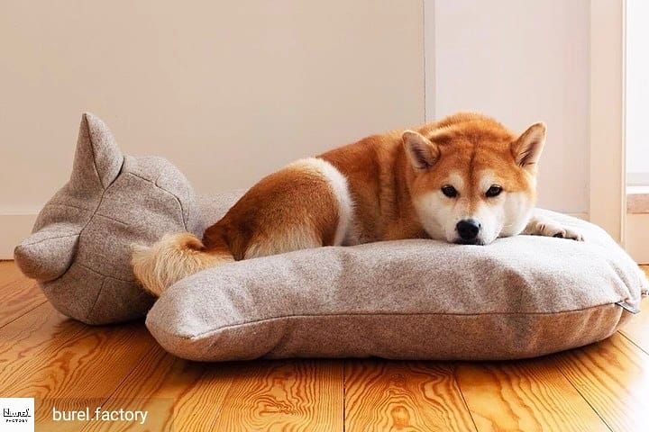 Fox dog bed / Fox Pouffe