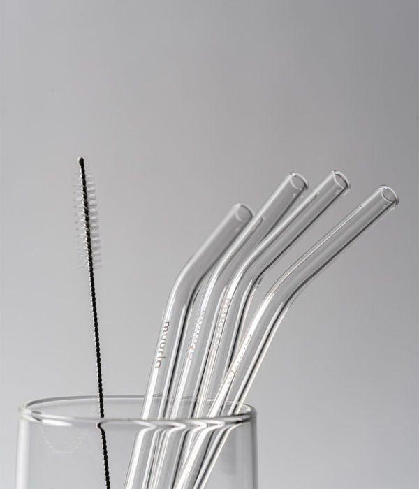 Glass straws 4pcs with brush