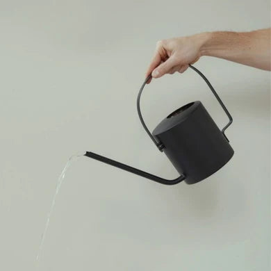 Original watering can Black