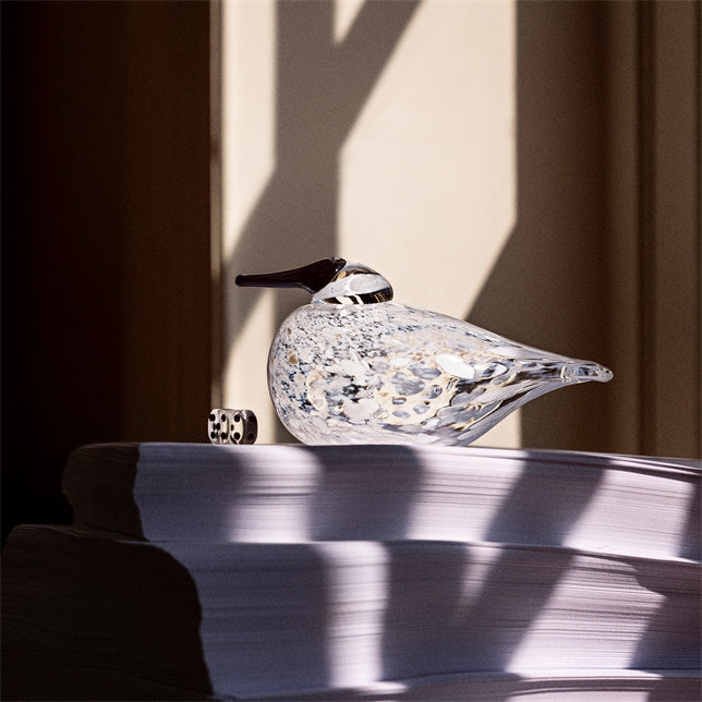 Snow Finch 175x70 mm