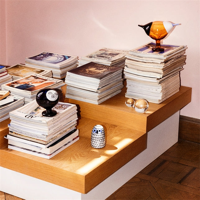 Blue Magpie 250x175 mm Seville orange