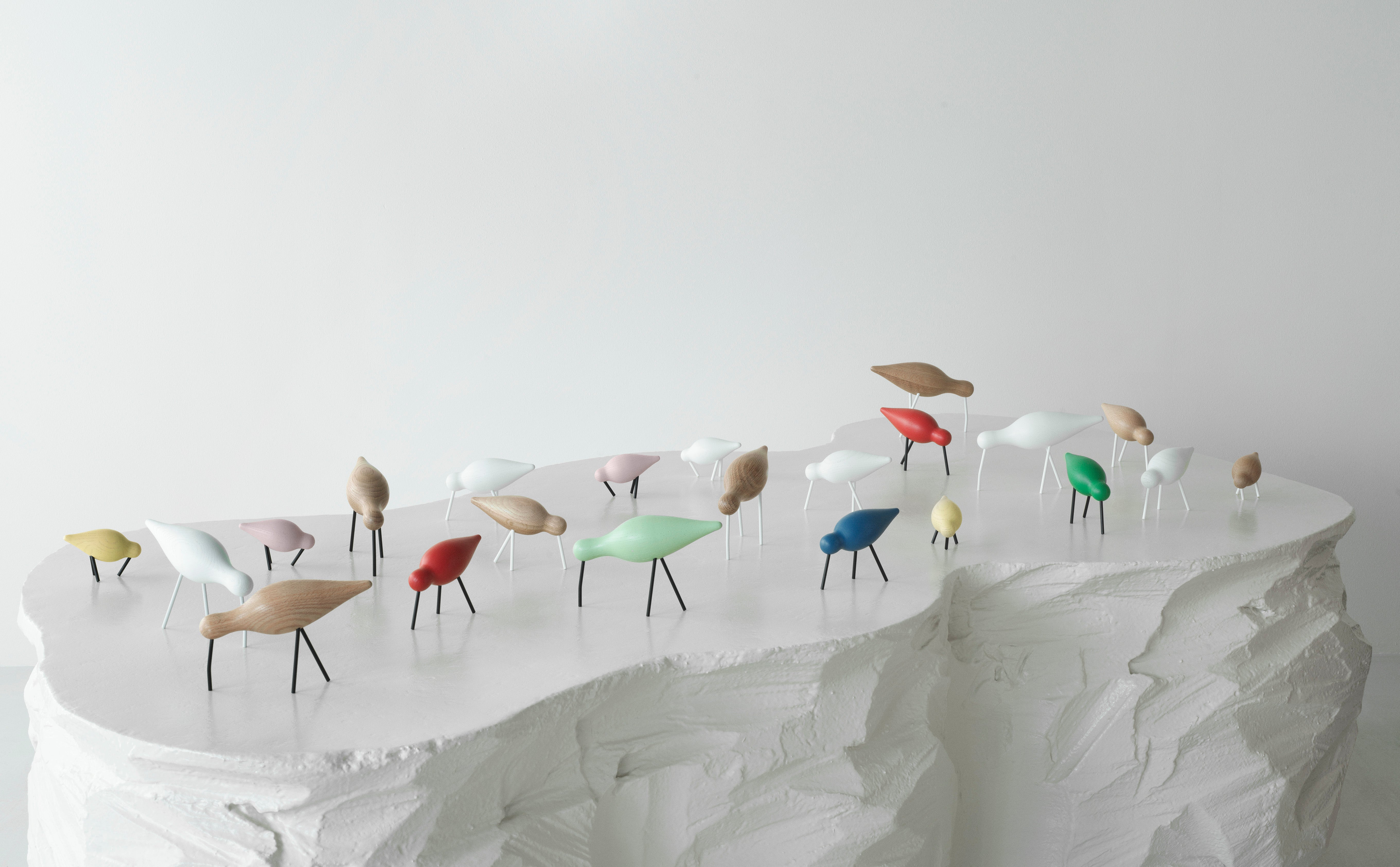 Shore bird All White