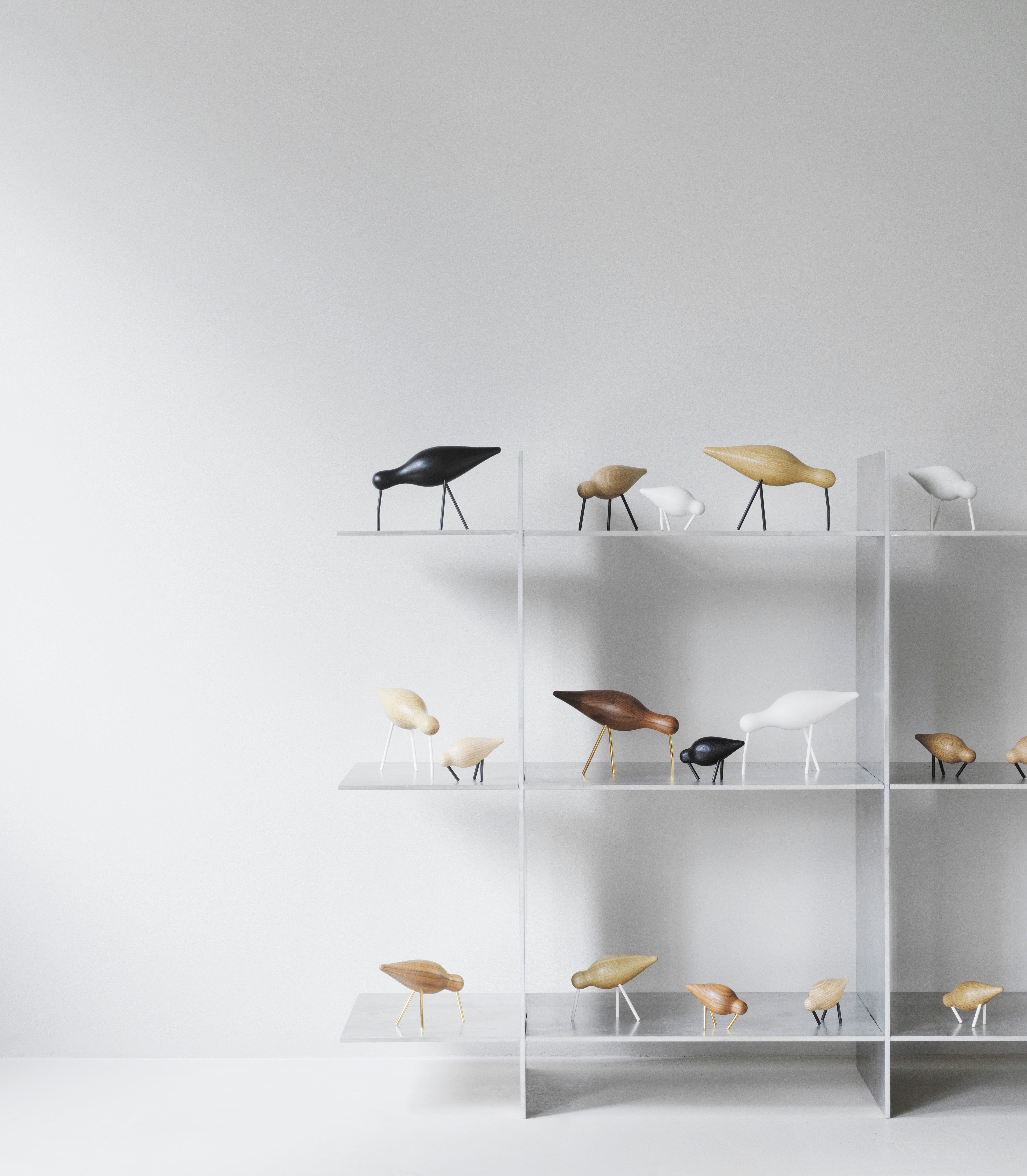 Shore bird All White