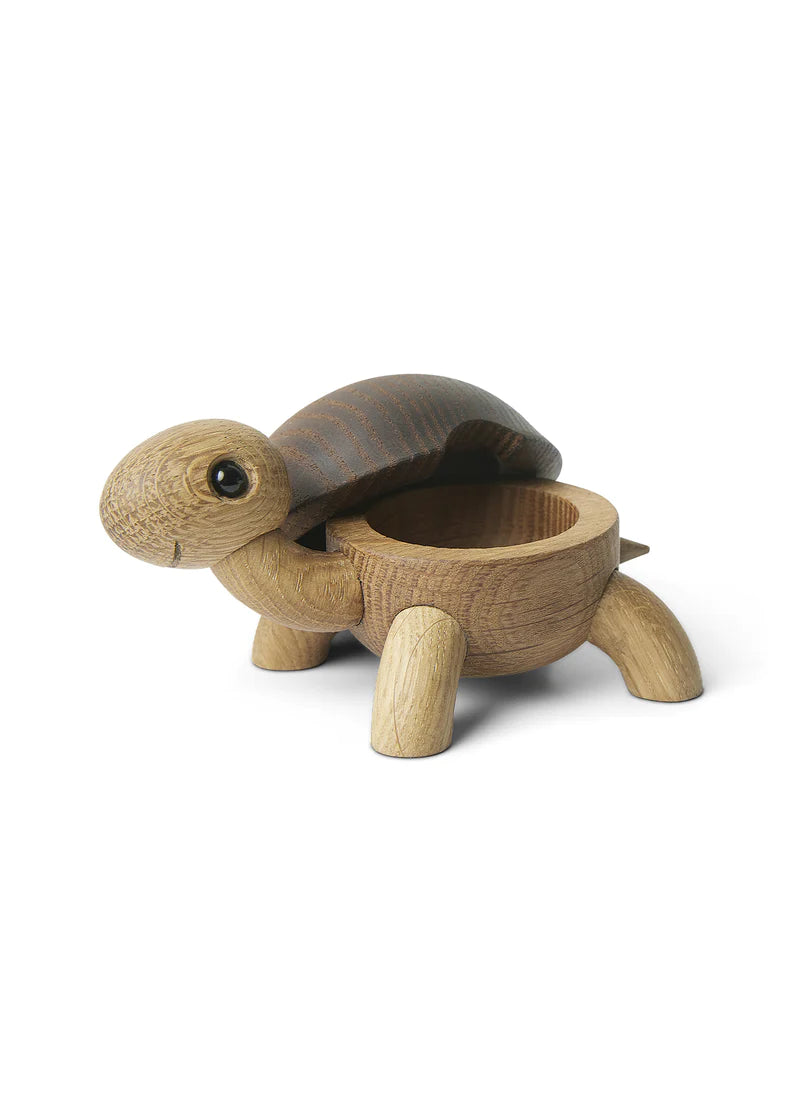 Slowy turtle