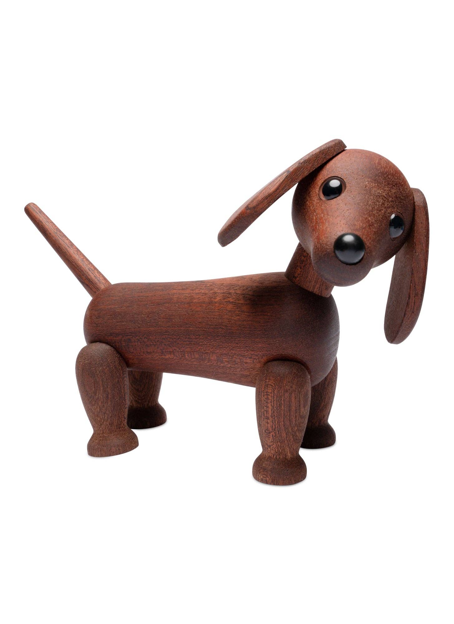 Quick dog  dachshund