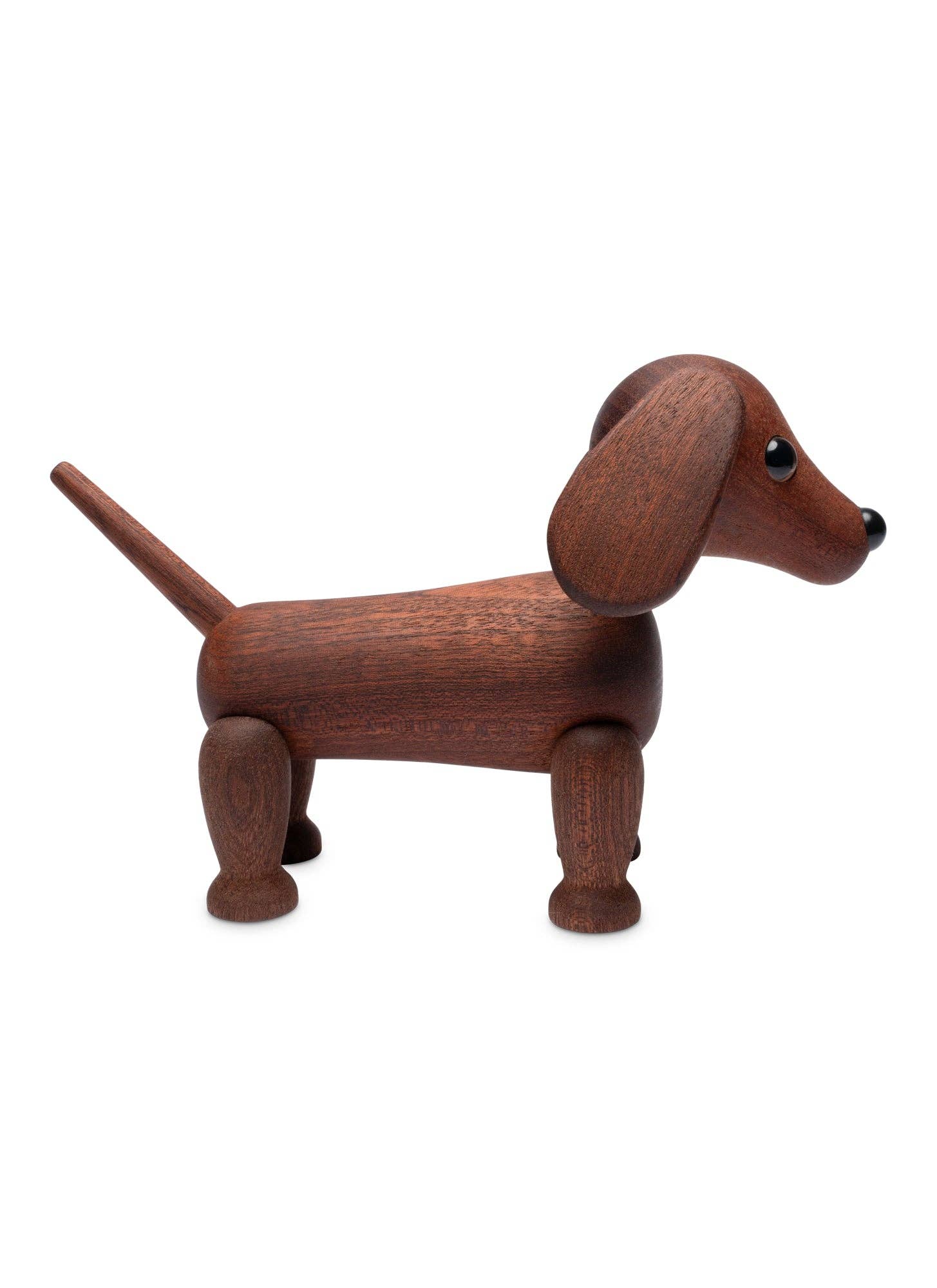 Quick dog  dachshund