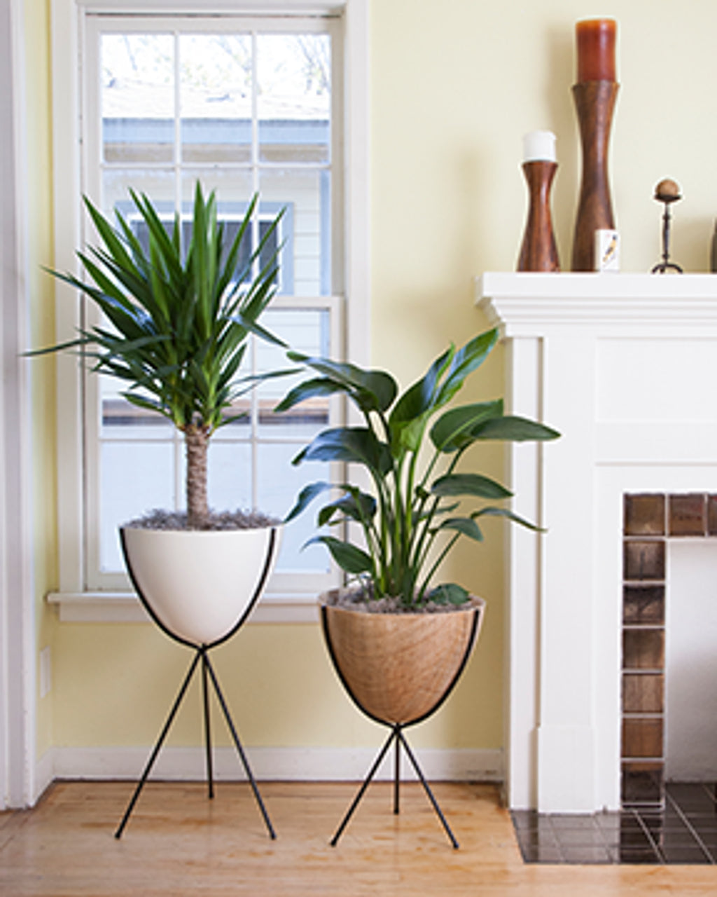 Fiberglass bullet planter (3 heights x multiple colours)