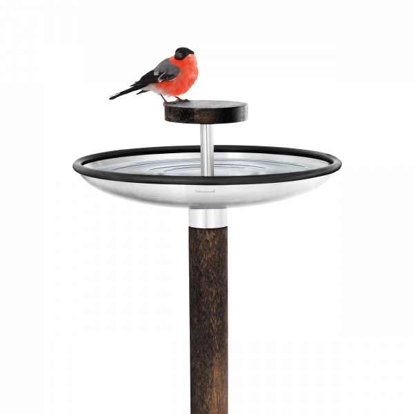 FUERA Bird resting place / feeder - stainless steel matt / wood