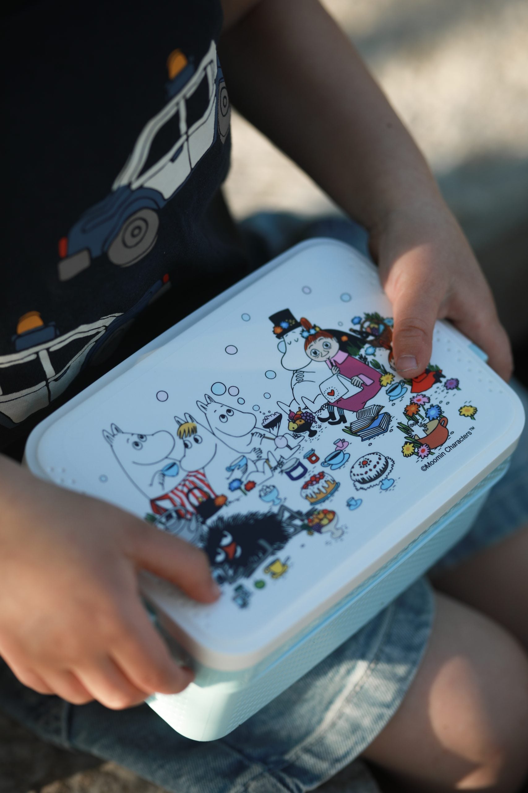 Moomin Lunchbox, Picknic