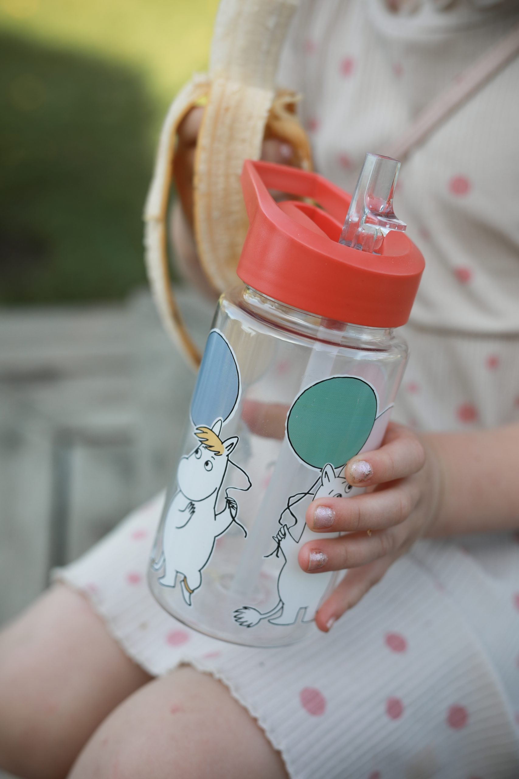 Moomin Water bottle -Festivities