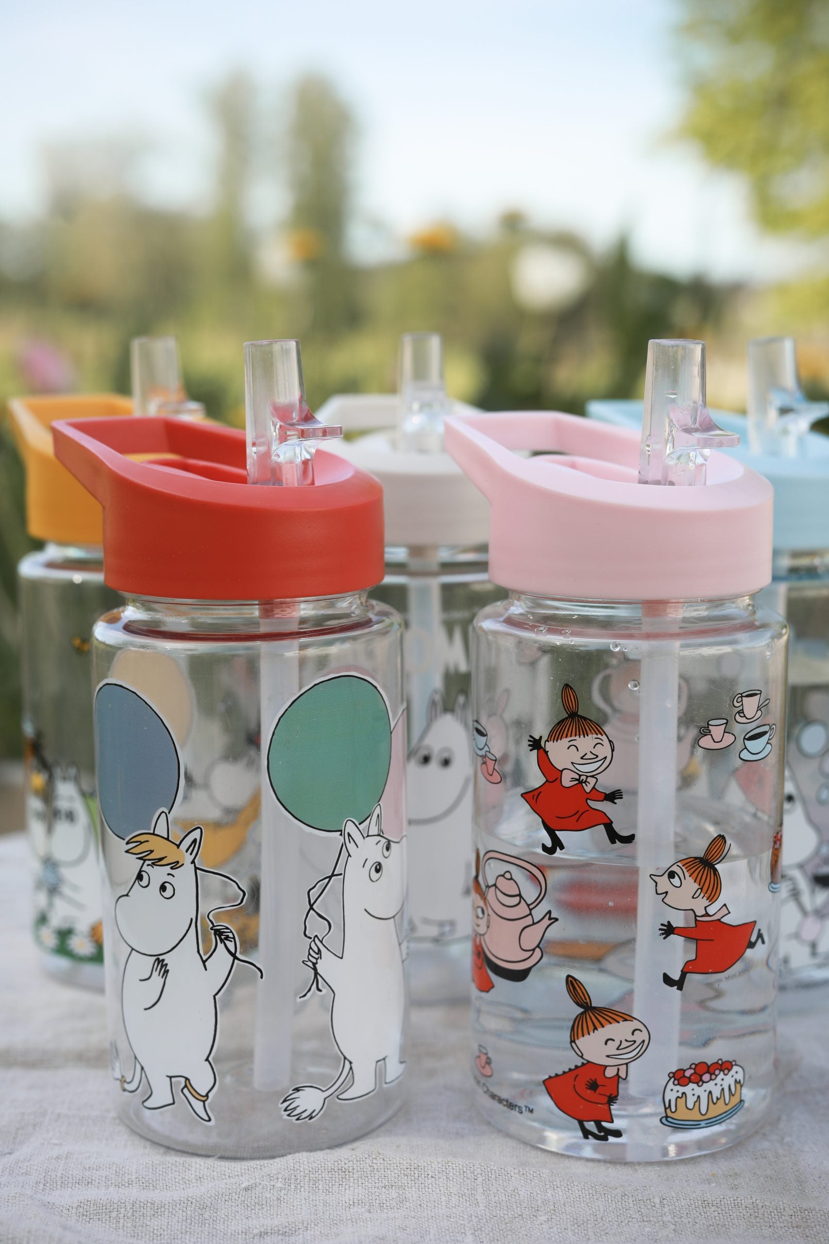 Moomin Water bottle -Festivities