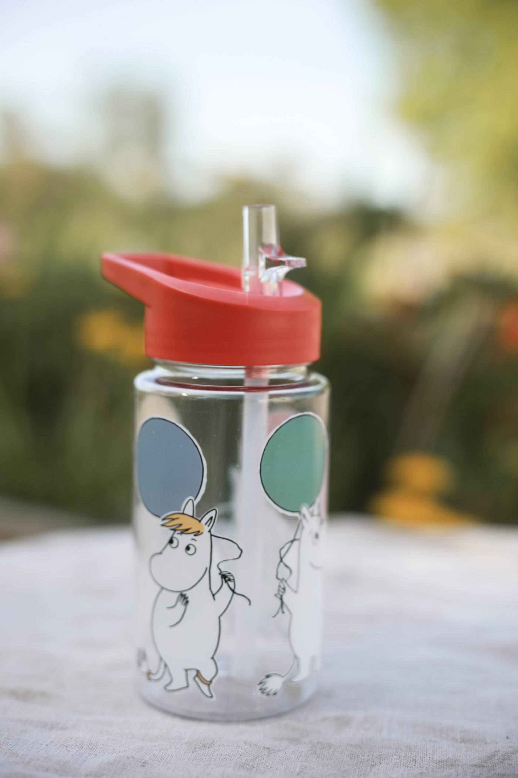 Moomin Water bottle -Festivities