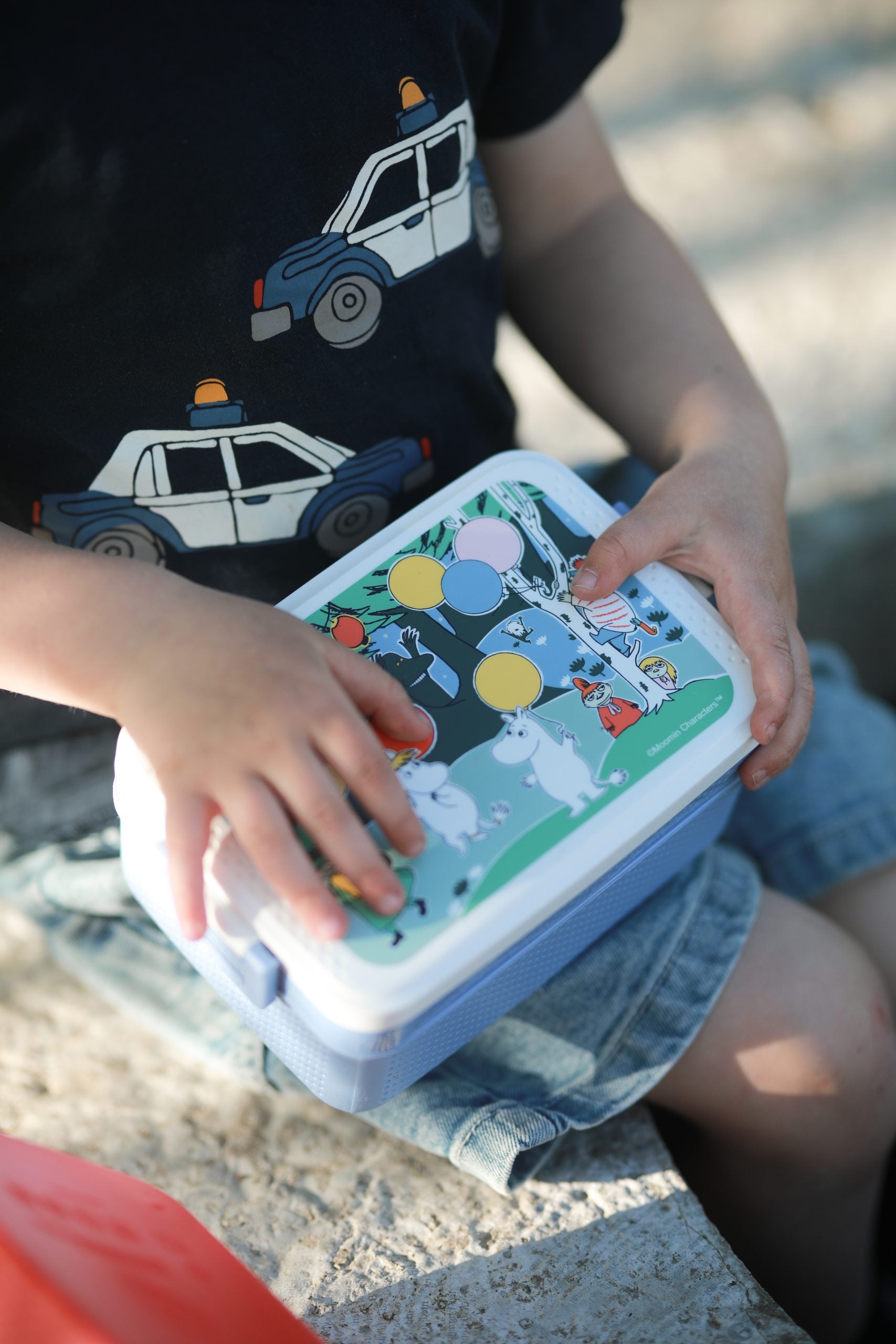Moomin Lunchbox, Festivities