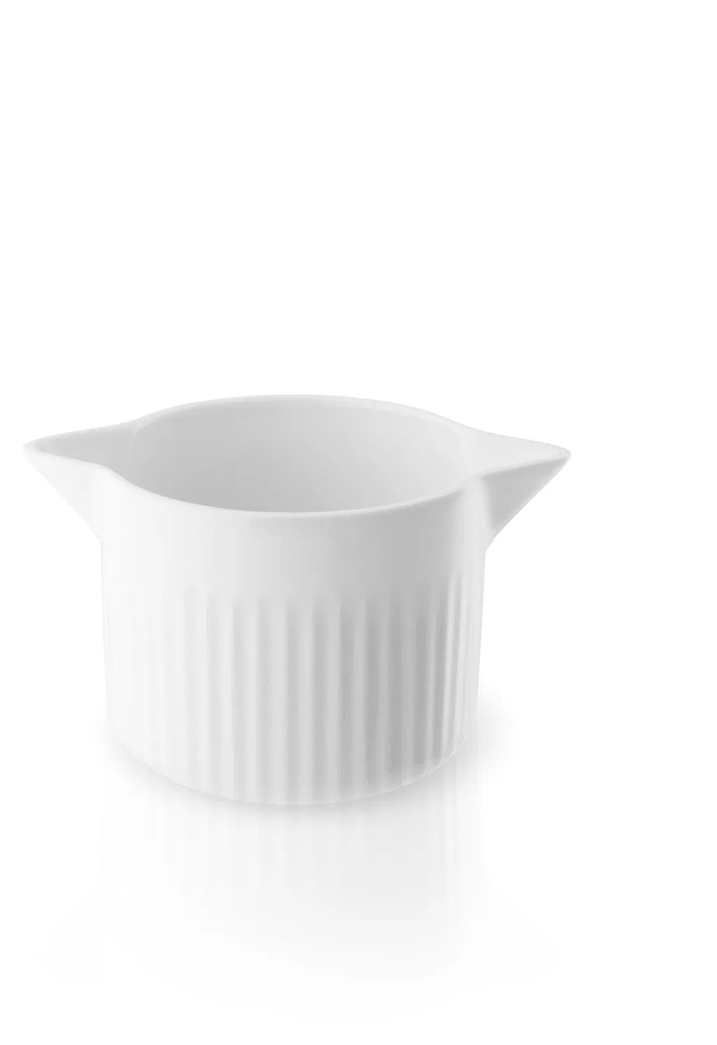 Legio Nova Gravy jug 0.45 l