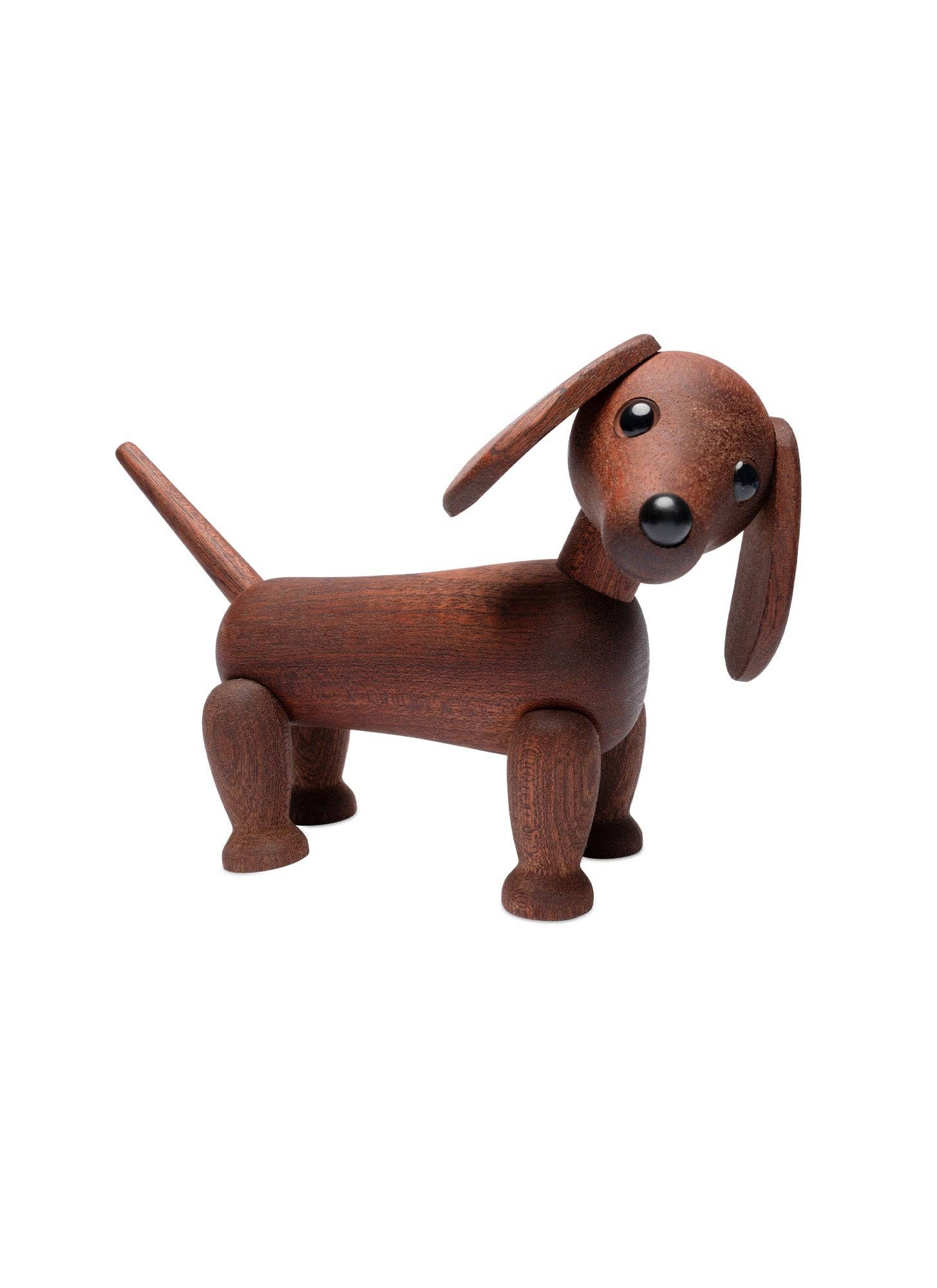 Quick dog  dachshund