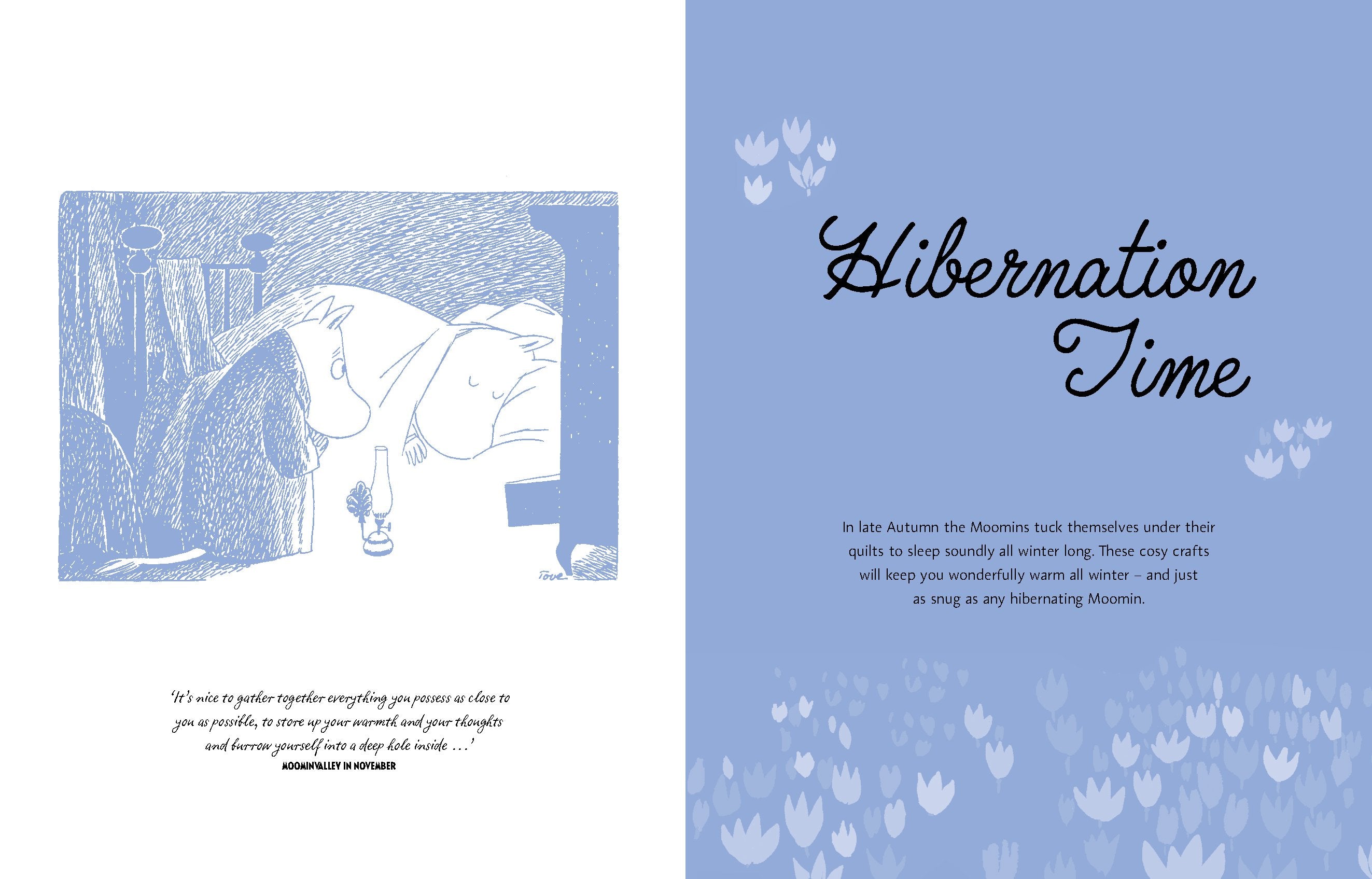 The Moomin Craft Book