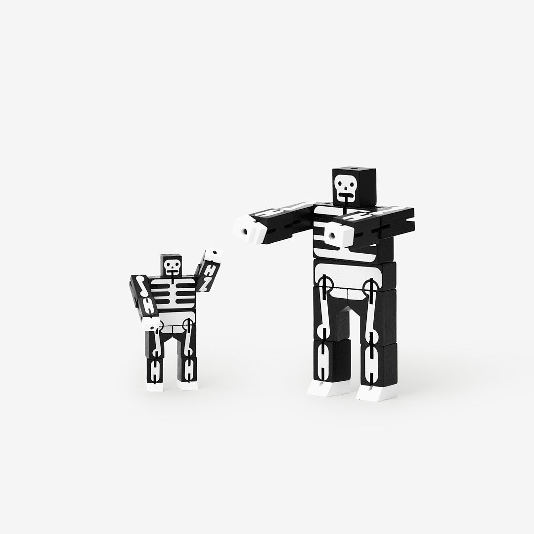 Micro Cubebot® Skeleton