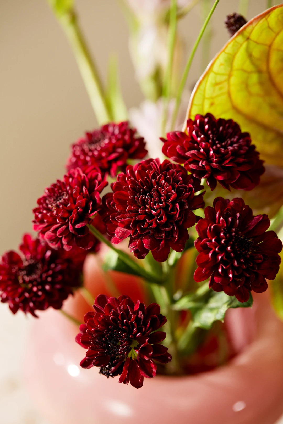 Soma Vase H16.5 cm / 6.3 in red coral peach