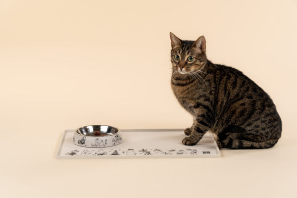 Moomin for Pets cat food bowl  Moomin 80