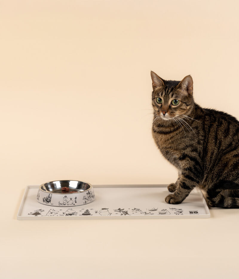 Moomin for Pets silicone mat Moomin80 48x30cm