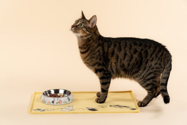 Moomin for Pets cat food bowl,  white