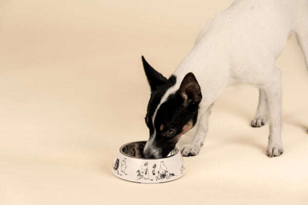 Moomin for Pets food bowl  Moomin 80 S