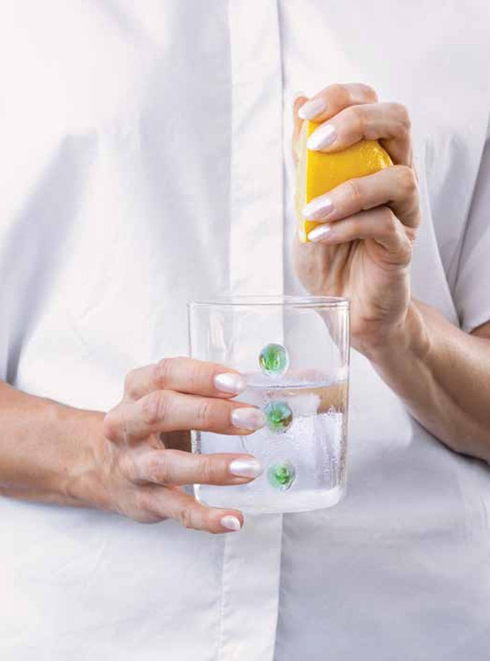 Petoni Tumbler 12.5oz Assorted (Set of 6)