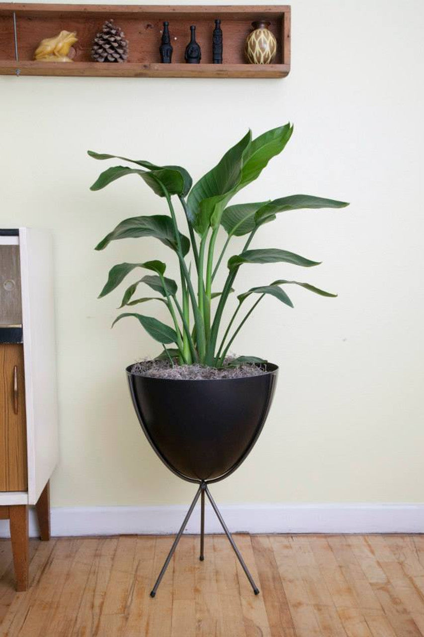 Fiberglass bullet planter (3 heights x multiple colours)