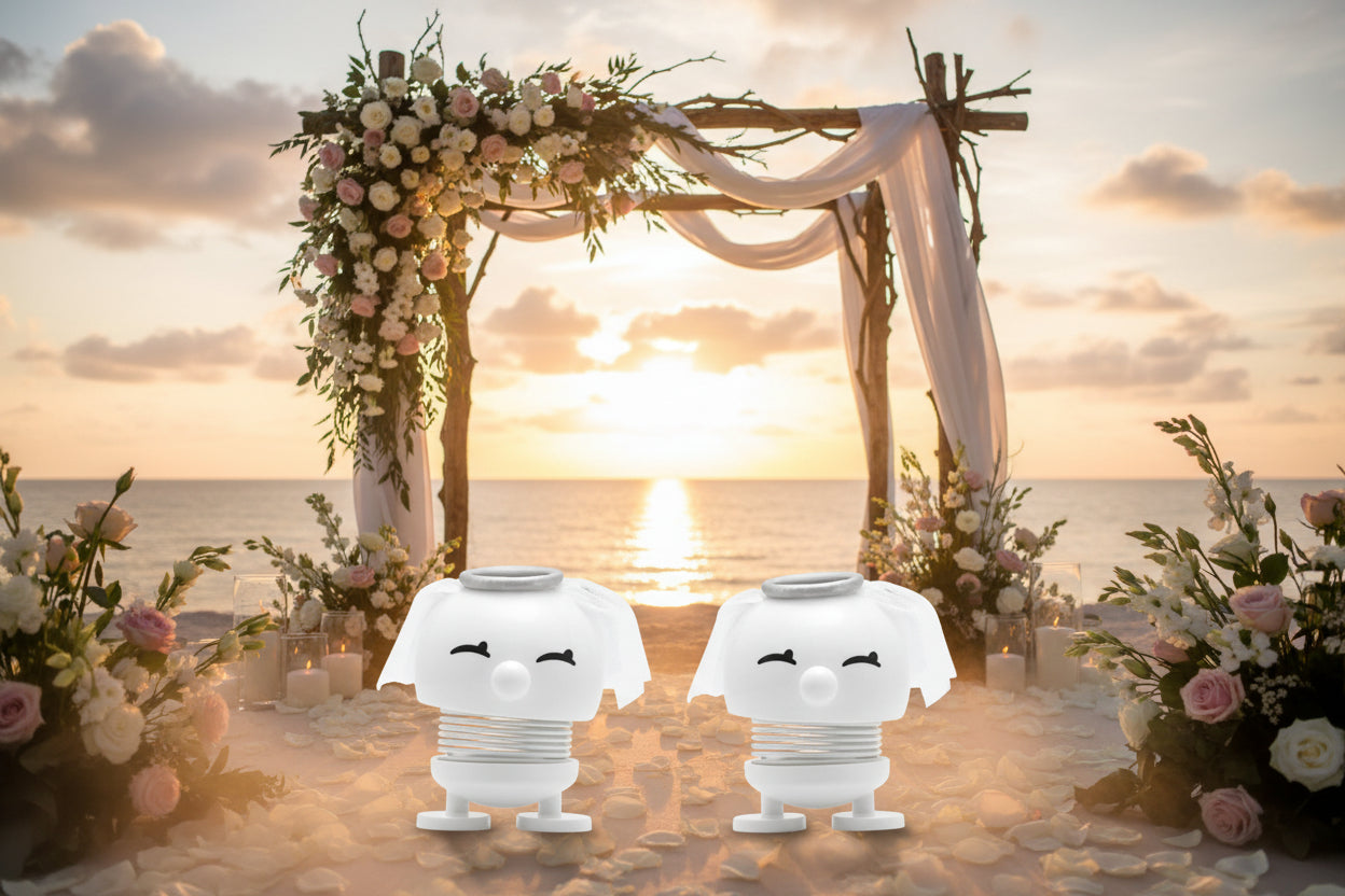 Hoptimist Small Wedding set (bride and bride)