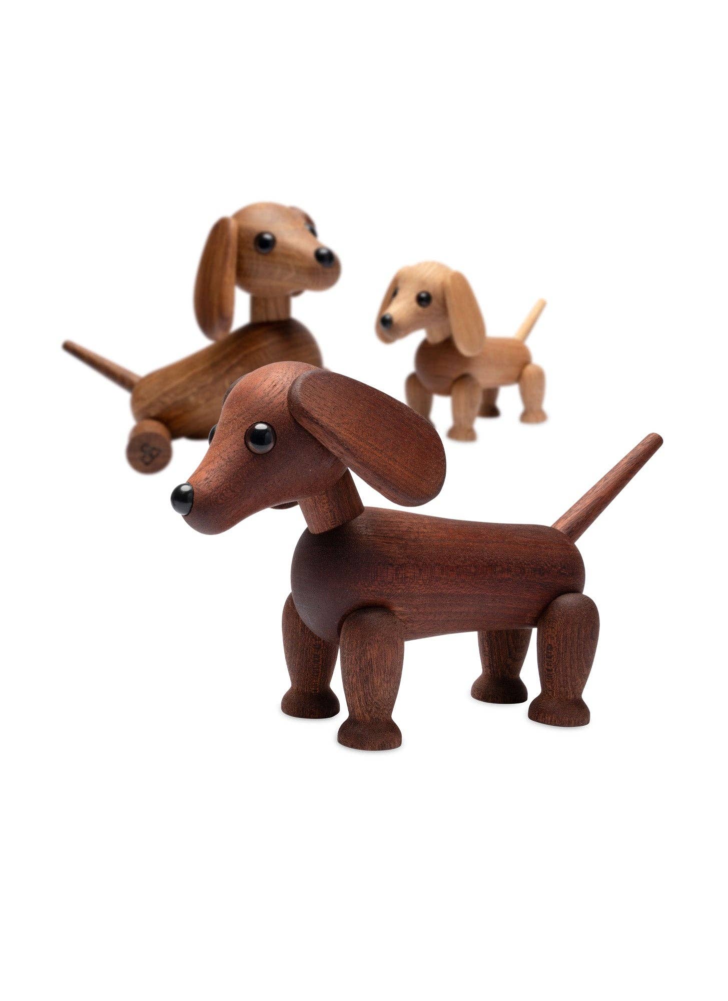 Quick dog  dachshund