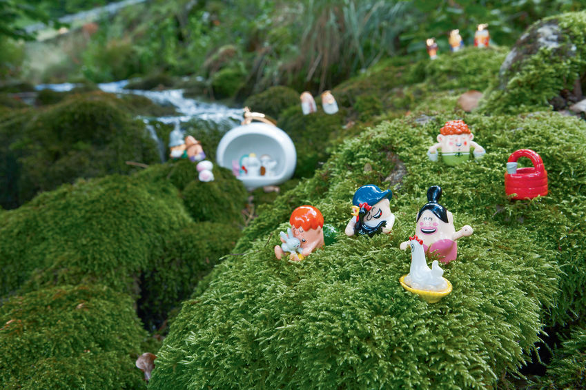 AMGI25 Stella Stellina