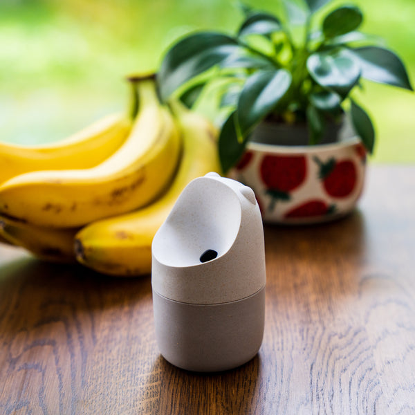 KONNA Fruit Fly Trap - Natural White