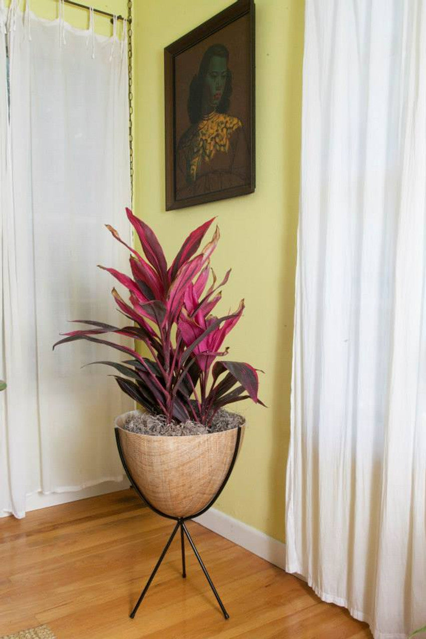 Fiberglass bullet planter (3 heights x multiple colours)