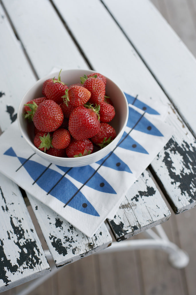 Herring, paper napkin, blue