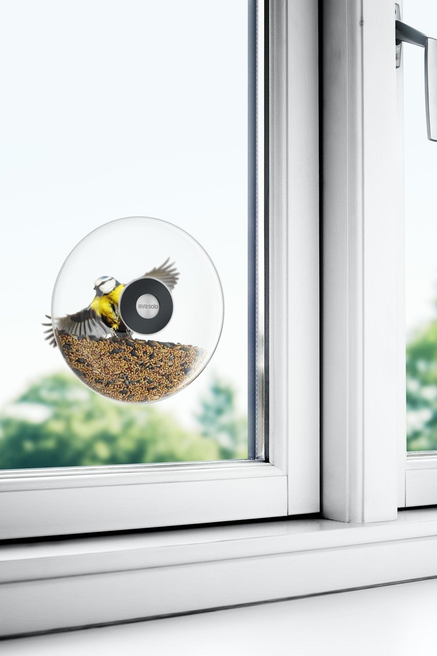 Window Mounted Bird Feeders: Large
