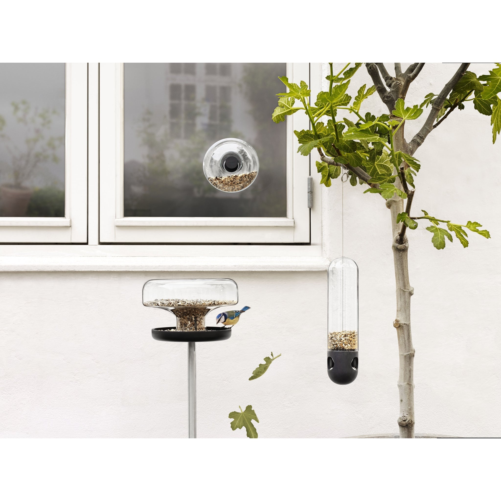 Window Mounted Bird Feeders: Large