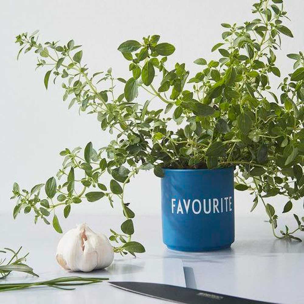 Favourite Cup FAVOURITE ( Blue )