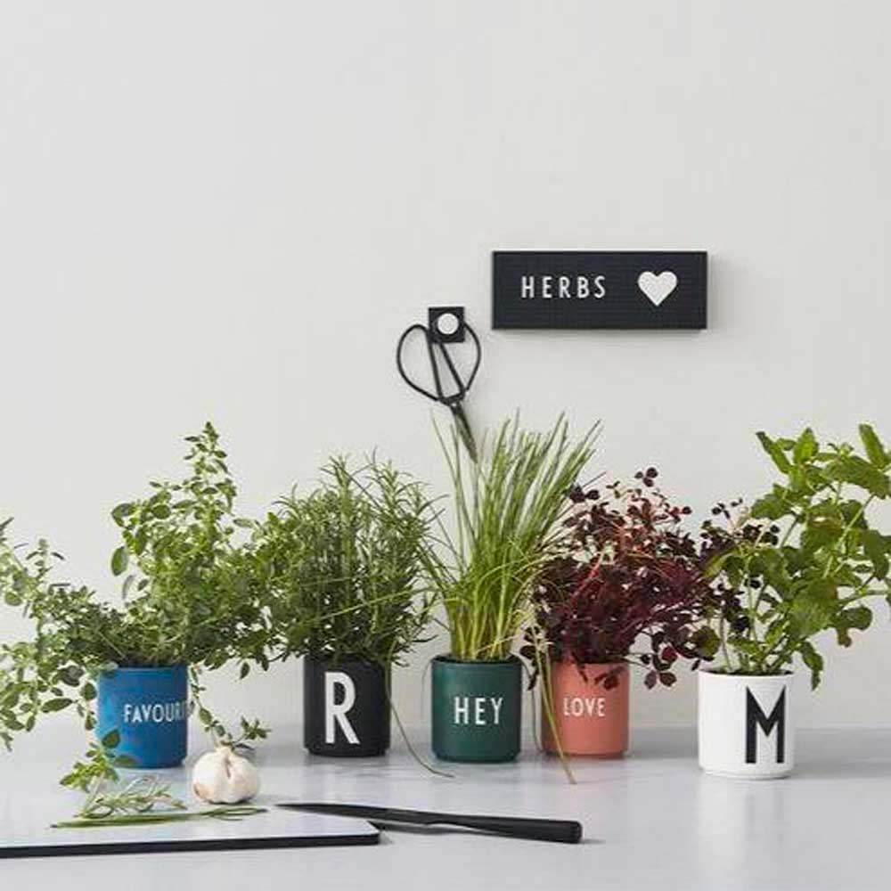 Favourite Cup FAVOURITE ( Blue )