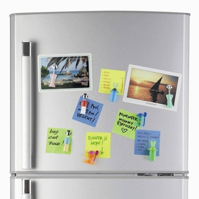 Alessi magnets