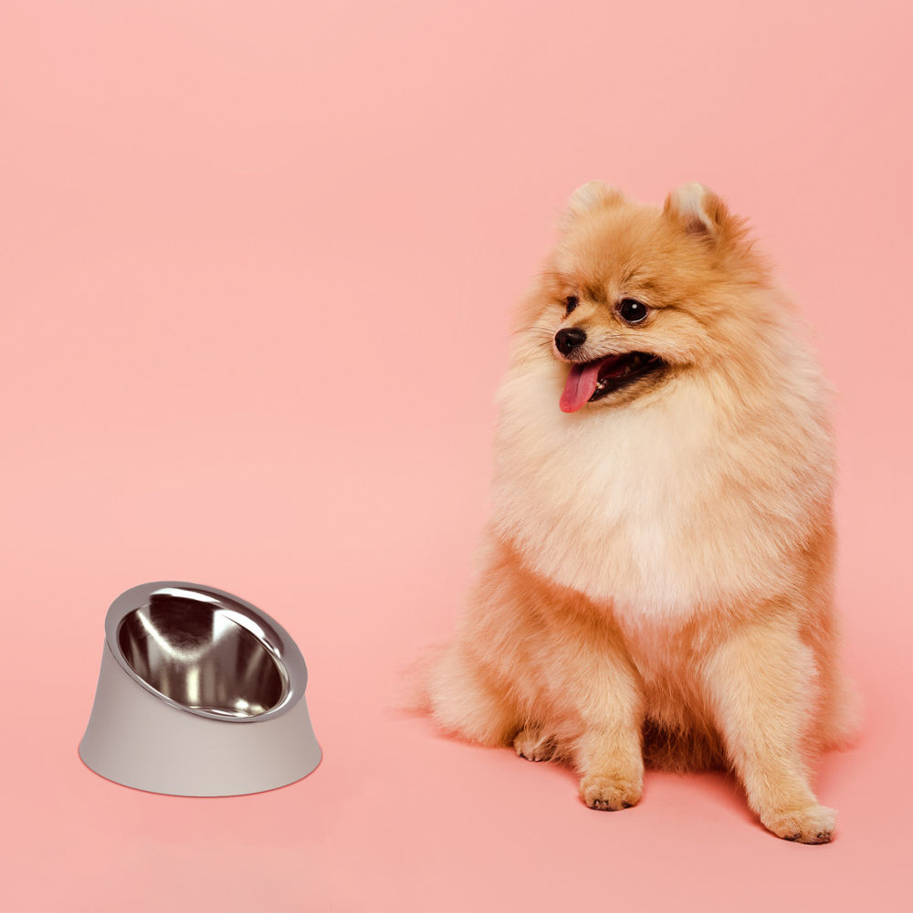 BM13/21 B Wowl Dog bowl