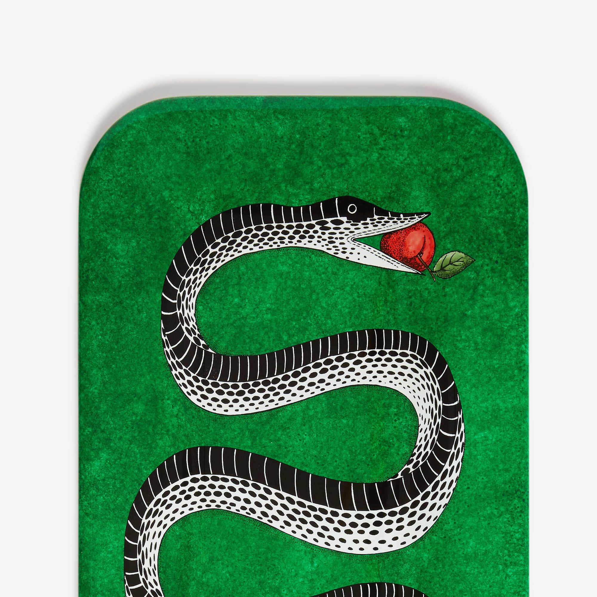 Fornasetti tray wood rectangular 60cmx25cm - Serpente green snake