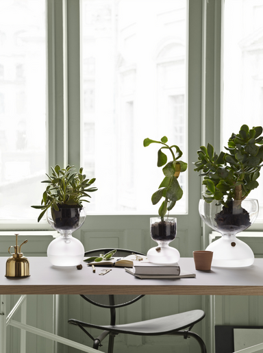 Gaia Plant Glass, 3.5"