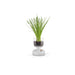 Gaia Plant Glass, 3.5"