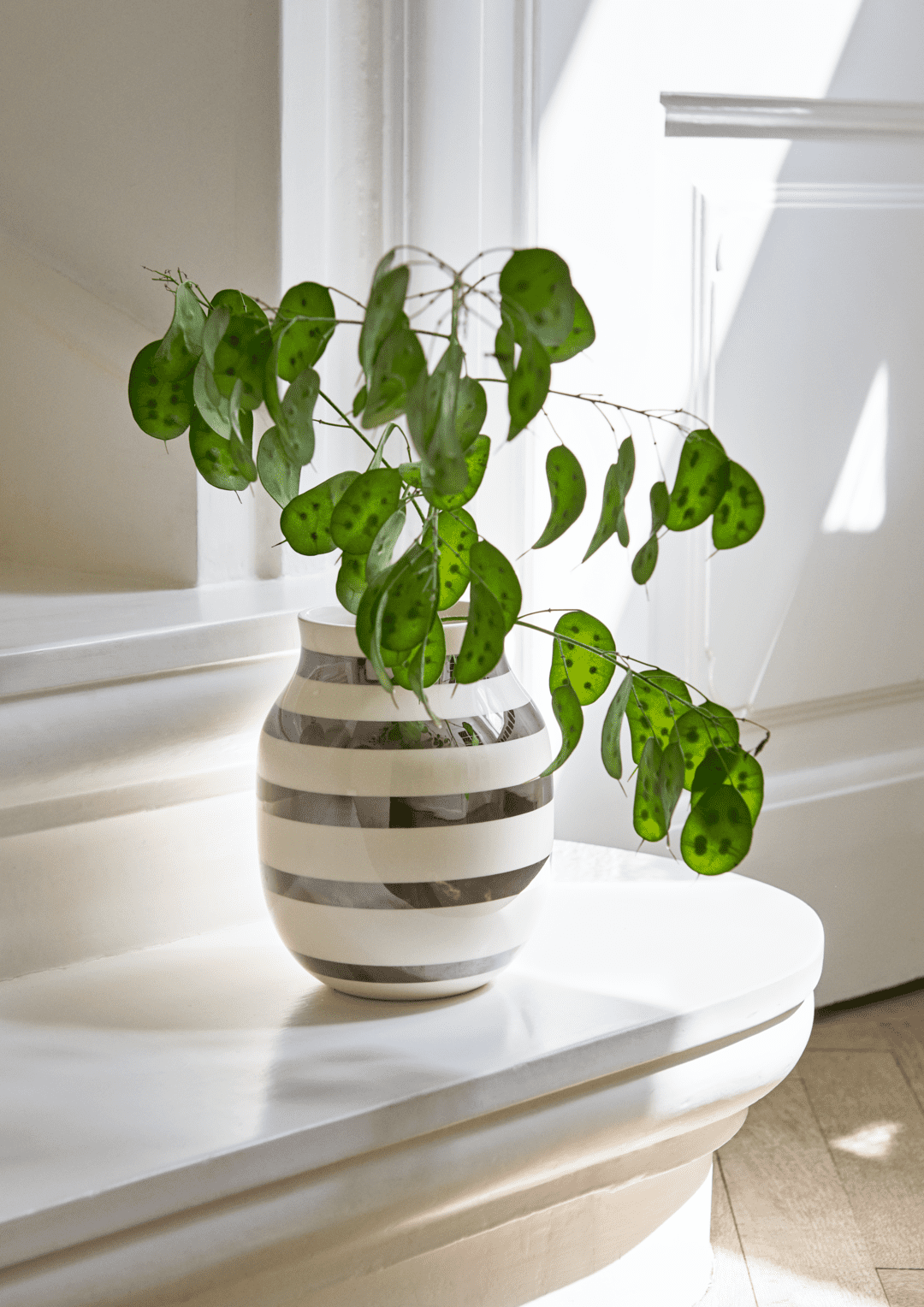 Omaggio Vase silver H20 cm  H: 7.9" Ø: 6.3"