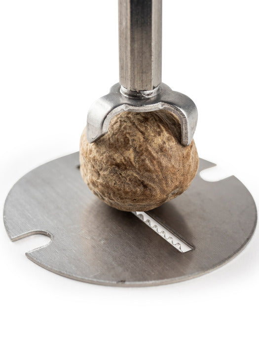 Daman Manual nutmeg mill in stainless steel and acrylic with magnetic cover 15 cm - 6in.