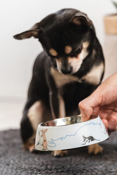 MOOMIN PET FOOD BOWL Small Blue