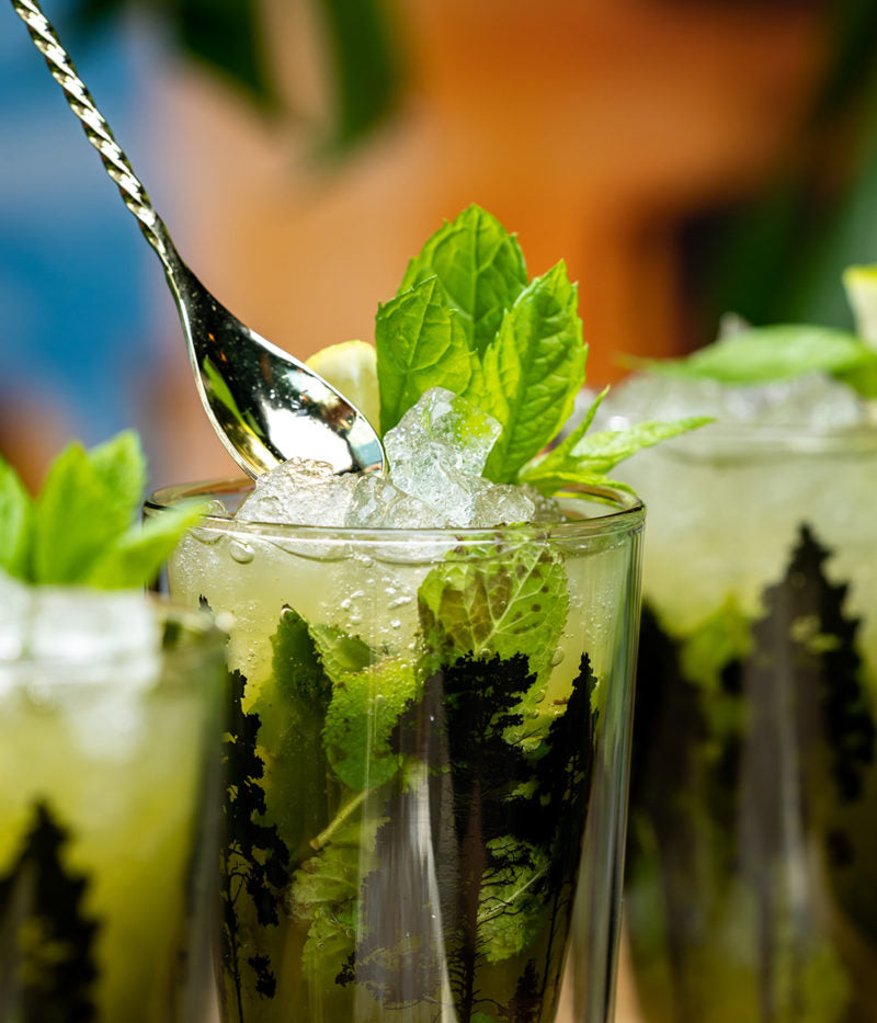 NORDIC HOT DRINKS GLASS THE FOREST 3DL Nordic Metsä