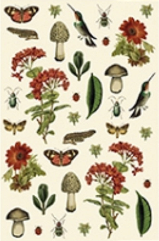 Micropuzzle - Biodiversity -flora